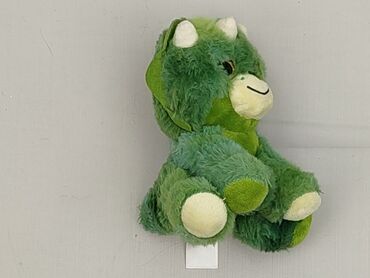 Mascot condition - Very good