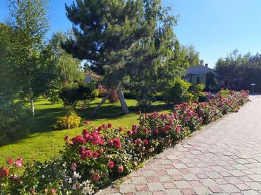 Долгосрочная аренда домов: ЦО Royal Beach. Центр отдыха Роял Бич. Коттедж. Дом. Royal Beach Club — 12