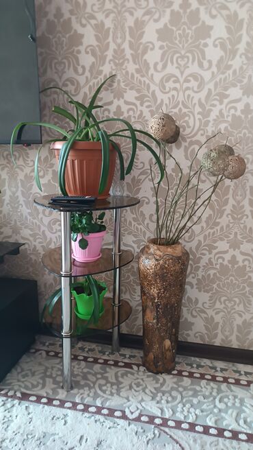 Этажерки для цветов: Стеклянная подставка для растений с тремя круглыми полками из — 3