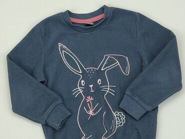 sweter bezrękawnik dziecięcy: Bluza, Little kids, 3-4 lat, 98-104 cm, stan - Zadowalający