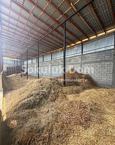 Продажа участков: 23 соток — 4