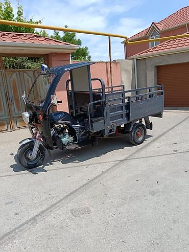 maped ucuz: Muravey - T200, 200 sm3, 2024 il, 1900 km — 1