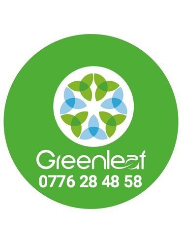 Сетевой маркетинг: Greenleaf 🟢 Боюнча жумуш жумушчулар керек бизнес менен жана уйдо эле