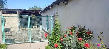 1 bedroom: Площадь 95м°2. площадь участка 52сотки. ремонт: старый. тип сделки  — 4