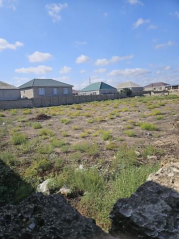 Torpaq sahələrinin satışı: 8 sot, Tikinti, Kupça (Çıxarış) — 7