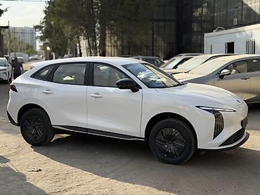 генератор 100: Dongfeng : 2026 г., 1.5 л, Автомат, Электромобиль, Кроссовер — 6