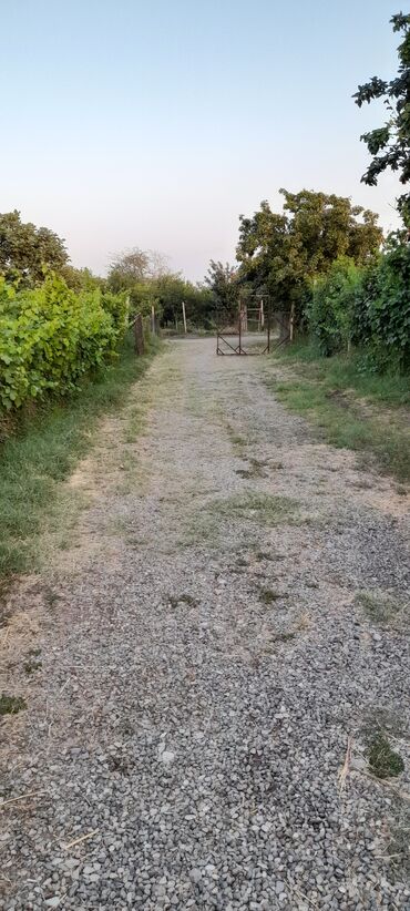 Həyət evləri və villaların satışı: 6 otaqlı, 270 kv. m, Yeni təmirli — 26