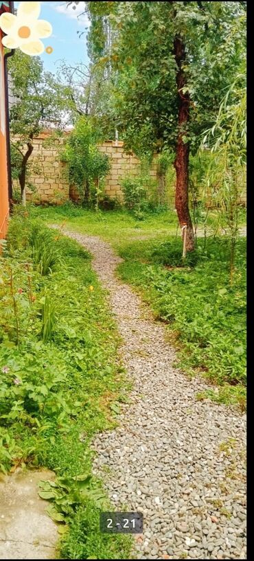 Günlük kirayə evlər: 100 kv. m, 3 otaqlı, İnternet, Telefon, Qaz — 11