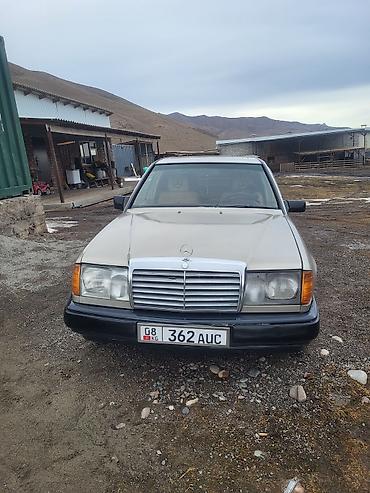 Mercedes-Benz: Mercedes-Benz W124: 1989 г., 2.3 л, Автомат, Бензин, Седан — 1