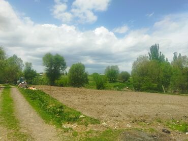 Продажа домов: Барачный, 93 м², 6 комнат, Собственник — 17