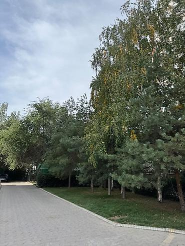 Продажа квартир: 2 комнаты, 54 м², Асанбай мкр Элитка, 7 этаж — 4