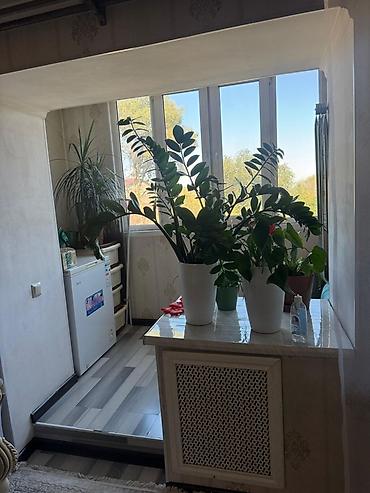 Зал үчүн гарнитуралар: 🏡 СДАЁТСЯ ПРОСТОРНАЯ 3-КОМНАТНАЯ КВАРТИРА НА ДЛИТЕЛЬНЫЙ СРОК 📍 Адрес — 4