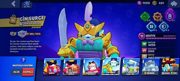samsunq a 51: Brawl Stars oyununda 51/93 döyüşçü ilə yüksək səviyyəli hesab. Hesabda