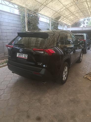 model y: Toyota RAV4: 2020 г., 2.5 л, Автомат, Гибрид, Кроссовер — 2