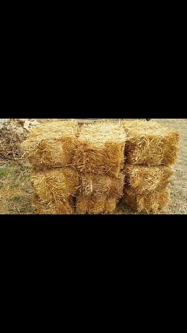 пеллеты: Продаются тюки соломы!
Сухие, плотные тюки! — 1