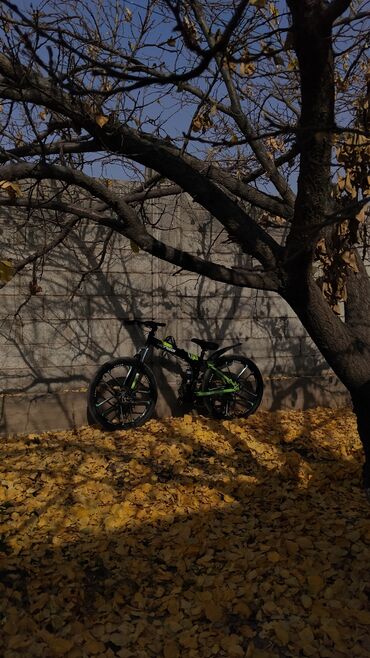 дождевик для велосипеда: Шаардык велосипед, Велосипед алкагы M (156 - 178 см), Колдонулган