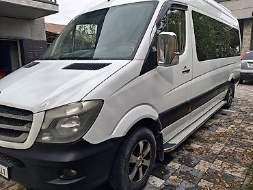 140 500: Mercedes-Benz Спринтер: 2009 г., 3.1 л, Механика, Дизель, Минивэн — 1