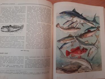 Ensiklopediyalar: Книги "Детская энциклопедия". 8 томов. Чтобы посмотреть все мои — 4