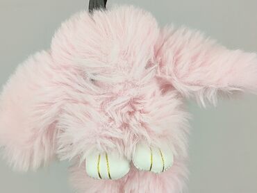 Mascot condition - Very good