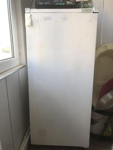 Soyuducular: Bir kameralı soyuducu (aşağıda soyutma bölməsi, yuxarıda dondurucu) — 2