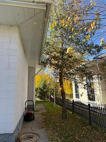 Продажа коттеджей и домов: Продается шикарный коттедж с террасой и собственным участком в зелёном — 16