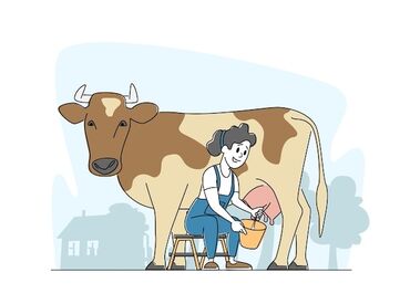 отель бурана: Требуется доярка на частную ферму зарплата хорошая