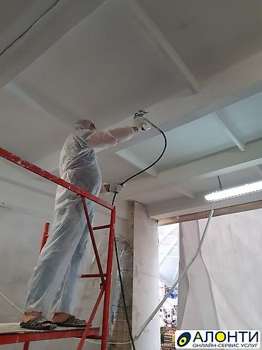 Покраска: Покраска стен, Покраска потолков, На масляной основе, На водной основе, Больше 6 лет опыта — 22