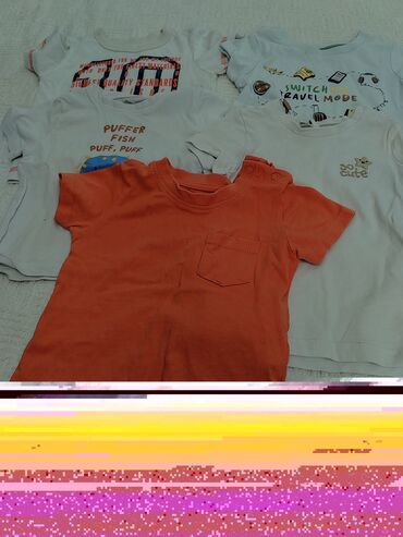 polo majice springfield: SinSay, Okrugli izrez, Kratak rukav, 74-80
