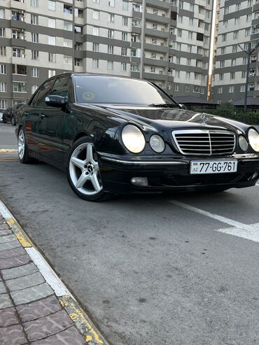 Mercedes-Benz: Mercedes-Benz 320: 3.2 l | 2001 il — 11