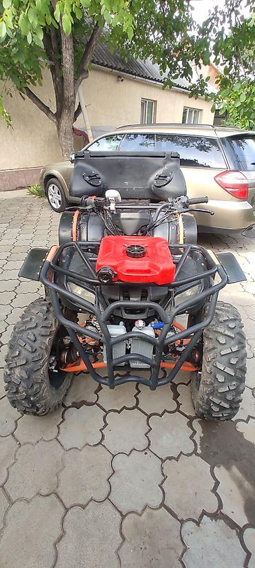 cfmoto купить: Квадроцикл Бензин, 250 куб. см, Взрослый — 1