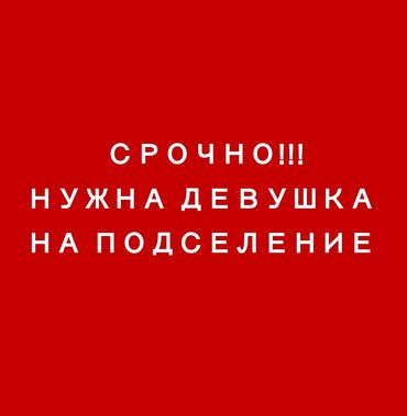 снять долго 1 комн квартиру: 3 бөлмө, Менчик ээси, Чогуу жашоо менен, Толугу менен эмереги бар