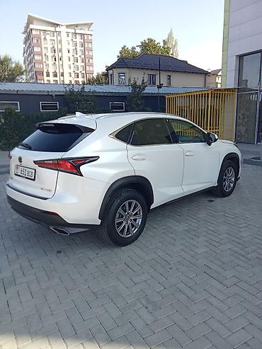 Lexus: Lexus NX: 2020 г., 2 л, Автомат, Бензин, Кроссовер — 3