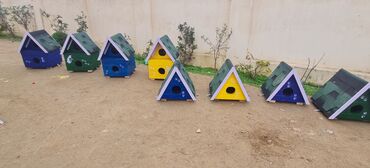 Yuvalar: Məhsul: Açıq havada istifadə üçün taxta pişik evi Təsvir: - Küçə və — 8