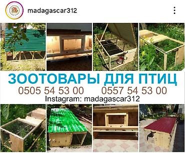 Товары и оборудование для с/х животных: Брудер/клетка для выращивания цыплят и другой птицы Внимание!!! Прошу — 6