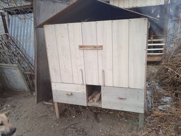 цыплята in Кыргызстан | ПТИЦЫ: Продается курятник очень удобный в хозяйстве,с дворикомлегко