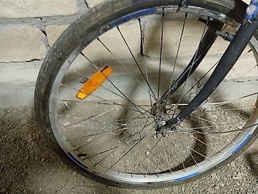 Şəhər velosipedləri: Şəhər tipli velosiped - Geniş ölçülü, klassik şəhər çərçivəsi — 7