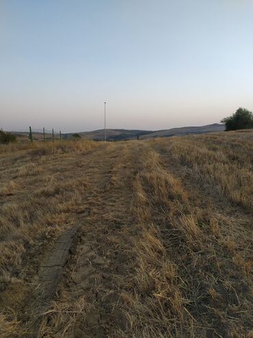 Torpaq sahələrinin satışı: 300 sot, Kənd təsərrüfatı, Mülkiyyətçi -da lalafo.az — 8 Torpaq sahələrinin satışı: 300 sot, Kənd təsərrüfatı, Mülkiyyətçi — 8