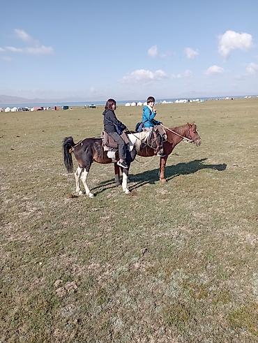 Туристические услуги: Индивидуальные экскурсии на природу и к озера Иссык-Куль - Пешие — 5