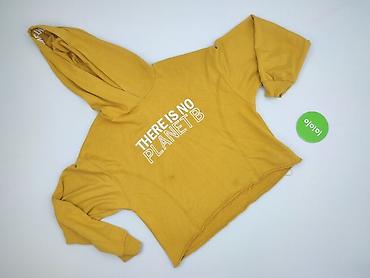 subdued bluza: Bershka, Bluza z kapturem damska, rozmiar M — 2