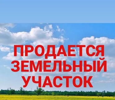 поле земля: Для бизнеса