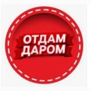 ошейники для собак: Отдам даром одежды, обувь Детские,взрослые Отдадим полностью в одну