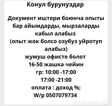 биндеры 17 листов с прямоугольными отверстиями: Продавец-консультант