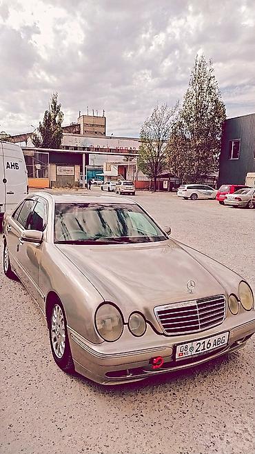 w210 дерево: Mercedes-Benz E-Class: 2001 г., 2 л, Автомат, Седан — 2