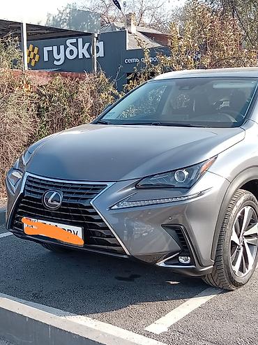 rx 450h: Lexus NX: 2020 г., 2.5 л, Вариатор, Гибрид, Кроссовер — 2