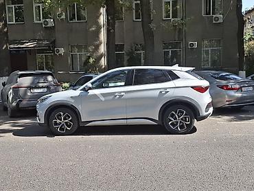 двери на спарк: BYD Yuan Plus: 2023 г., Электромобиль, Кроссовер — 3