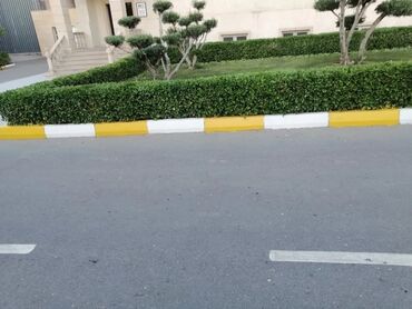 Bağbanlar: Bağban, 43 il, 5 ildən artıq təcrübə — 25