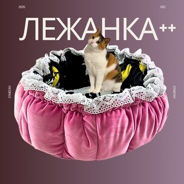 детская брендовая обувь: Мягкая лежанка для домашних животных в форме корзины. Внешняя часть