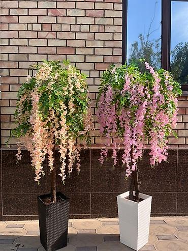 хвойные растения: Instagram: Mayram.decor.kg Искусственное дерево с пышной зеленой — 5