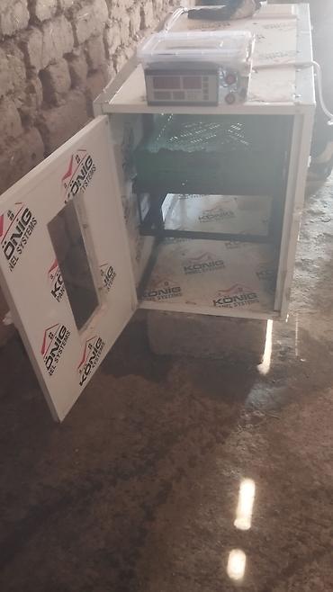 2 el kompresör: Salam. hərkəsə inqvator satılır 250 toyuq yumurtası tutur 3 dəfə özüm — 4