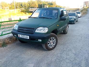 нива шивролет: Chevrolet Niva: 2004 г., 1.7 л, Механика, Бензин, Внедорожник — 1